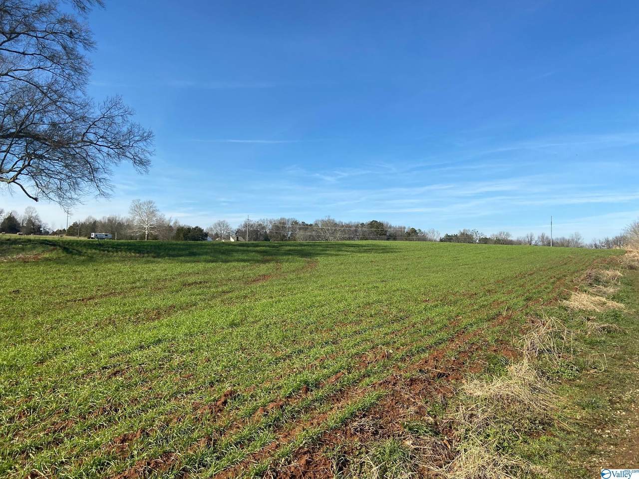 00 County Road 460 - Photo 1