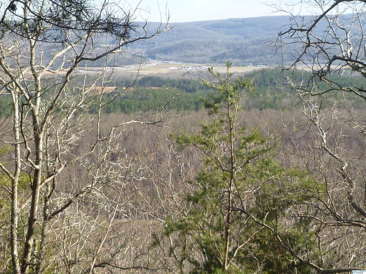 90 County Road 1010 - Photo 1