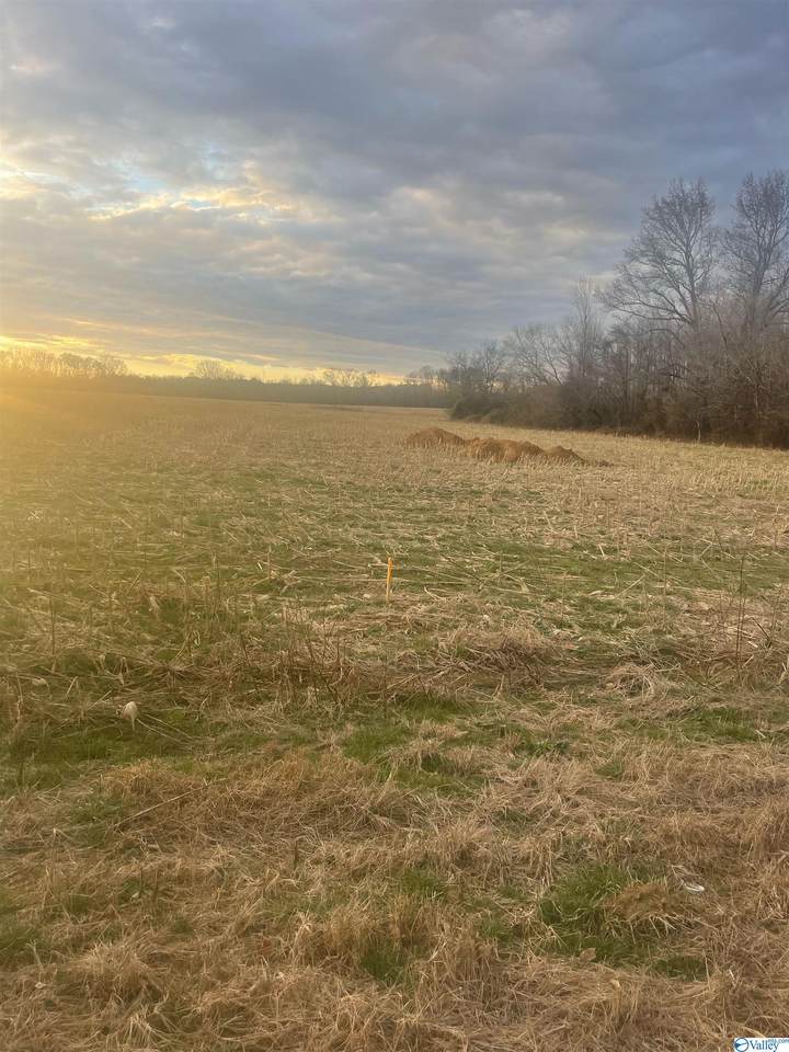 130 Shady Lane Road - Photo 1