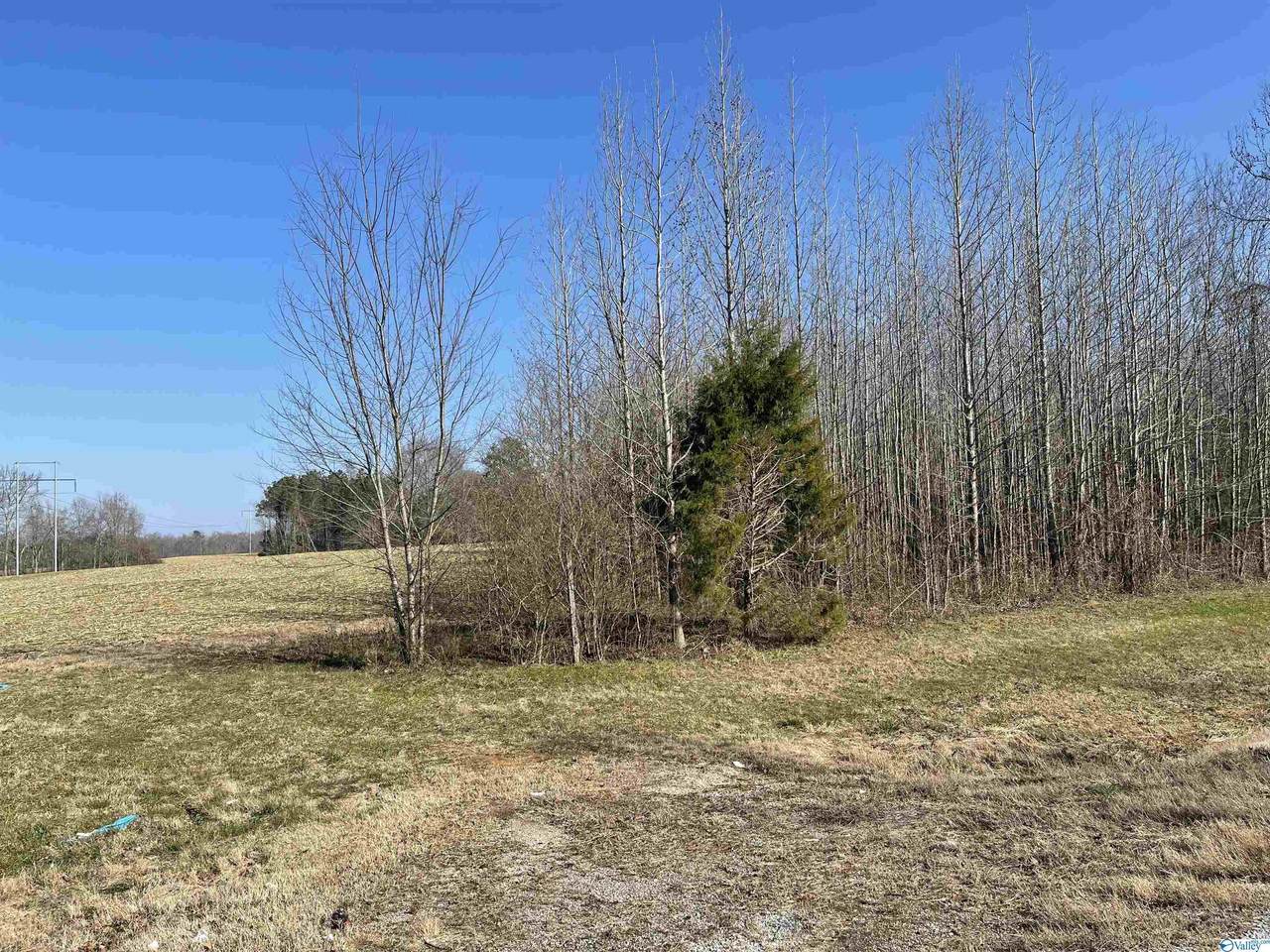 0 Highway 53 - Photo 1