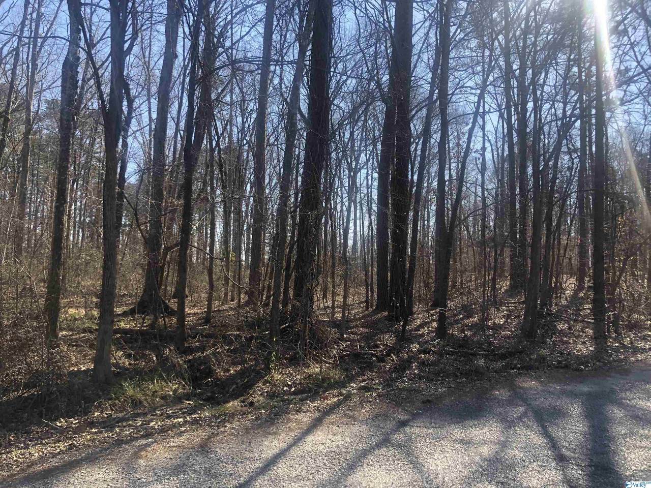 Lot 24 Dogwood Lane - Photo 1