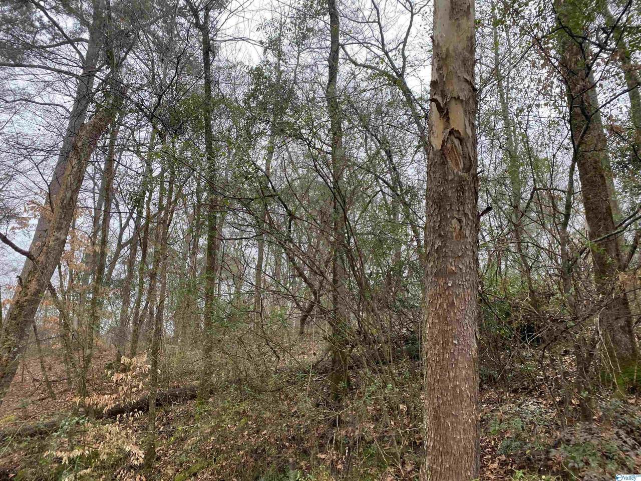 00 Bud Weaver Road - Photo 1