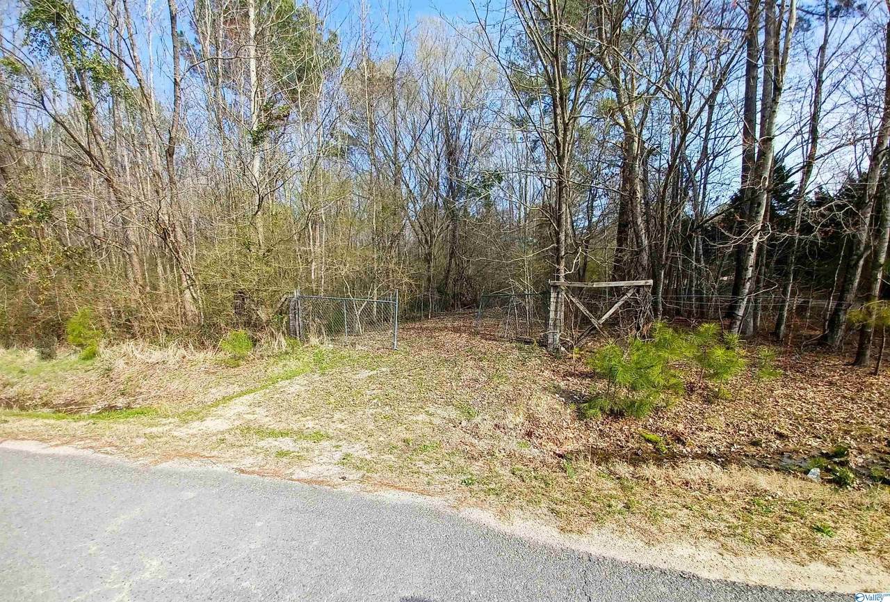 0 Fords Valley Road - Photo 1