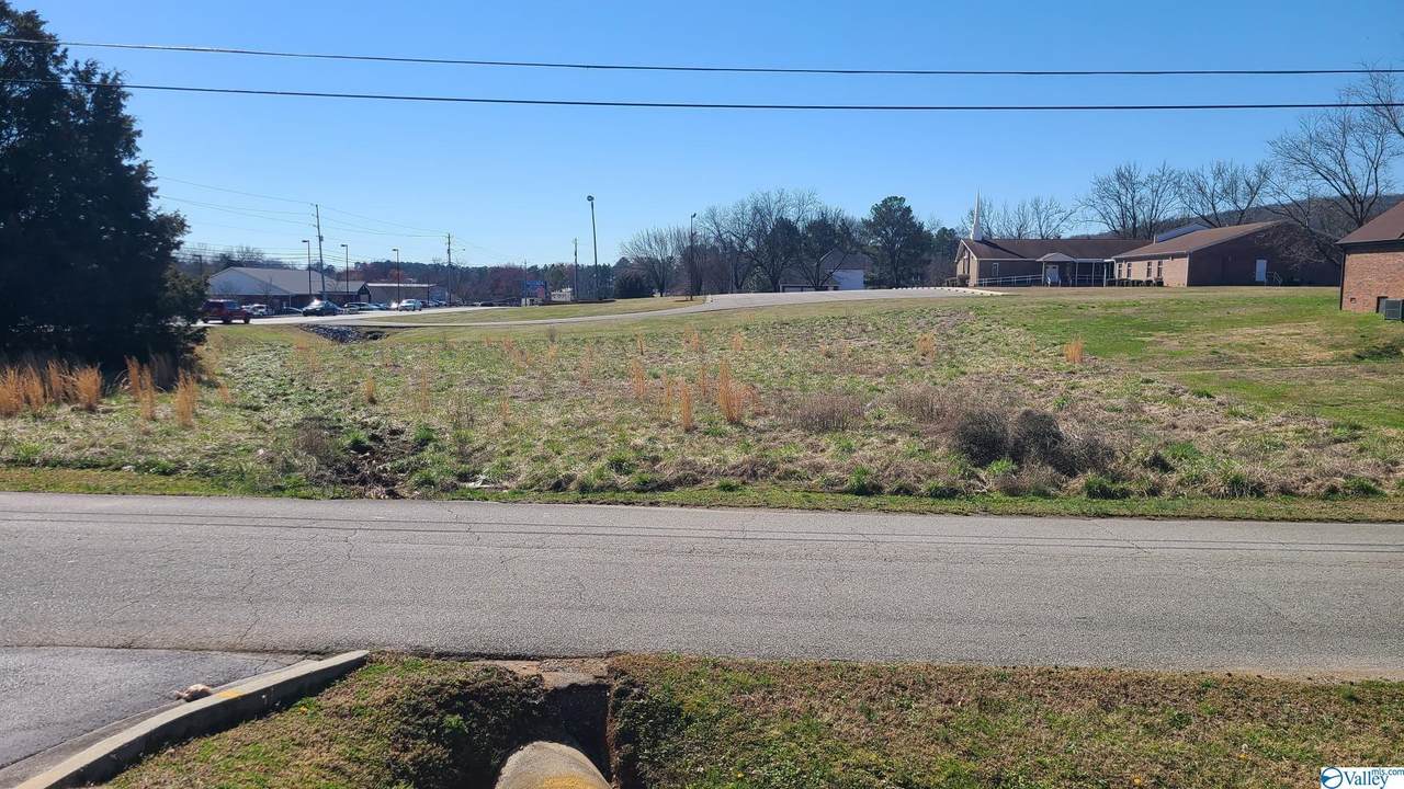 0 Roy Drive - Photo 1
