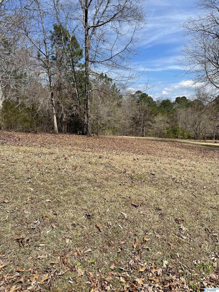 0 Spindletop Drive - Photo 1