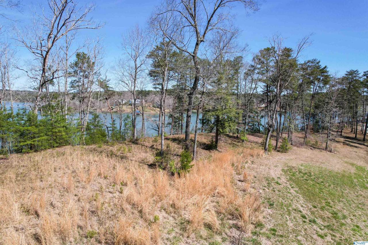 Lot 19 Long Leaf Road - Photo 1
