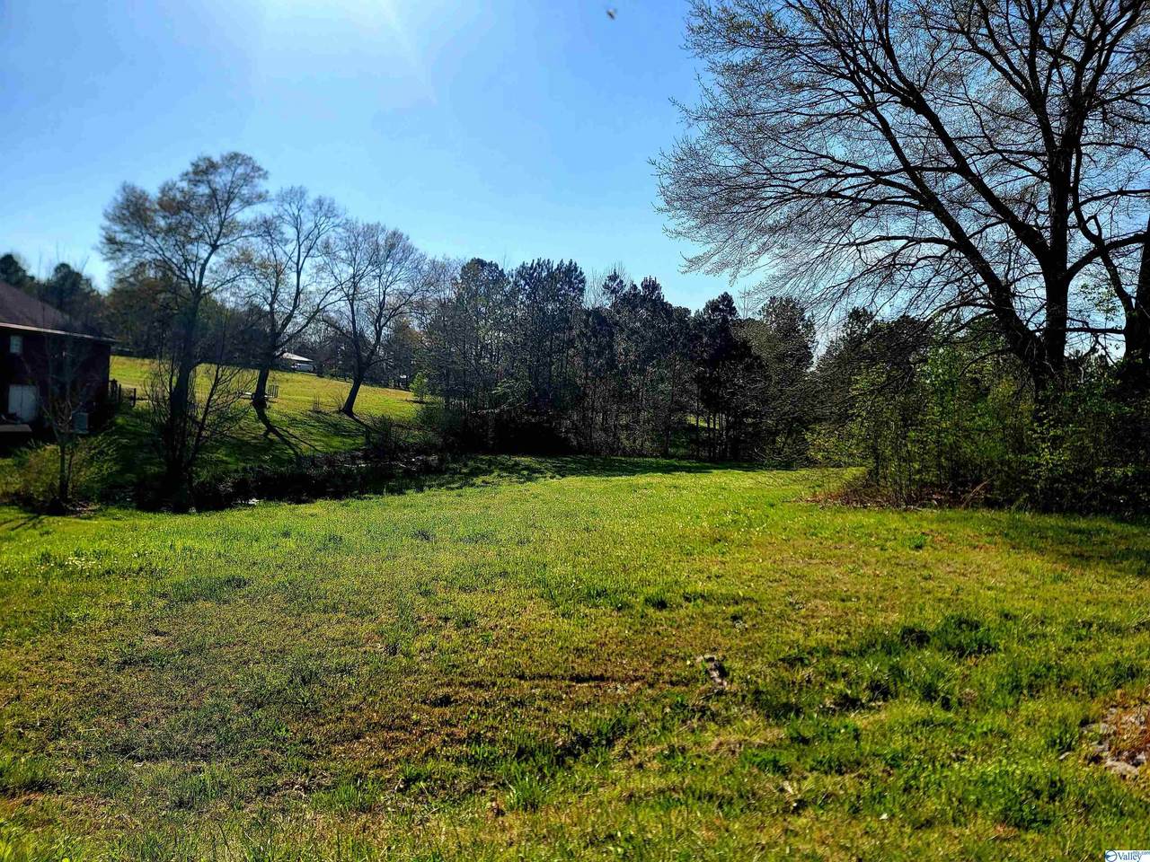 LOT 3 Locust Drive - Photo 1