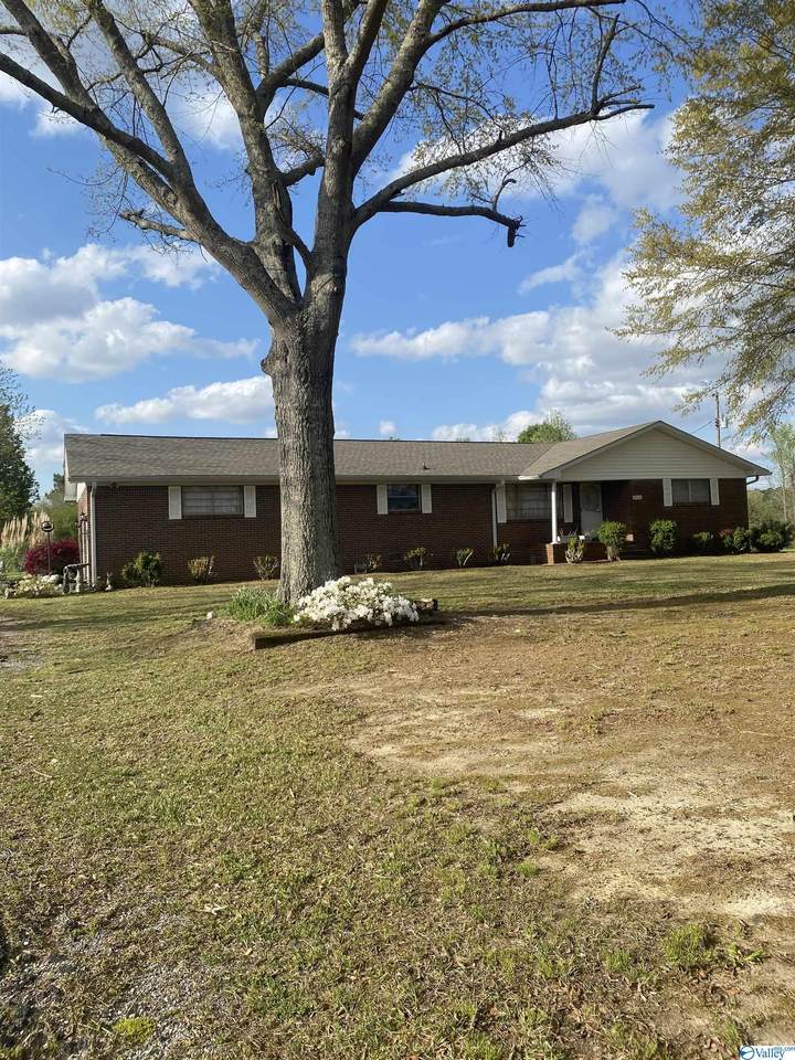 6056 Main Street - Photo 1