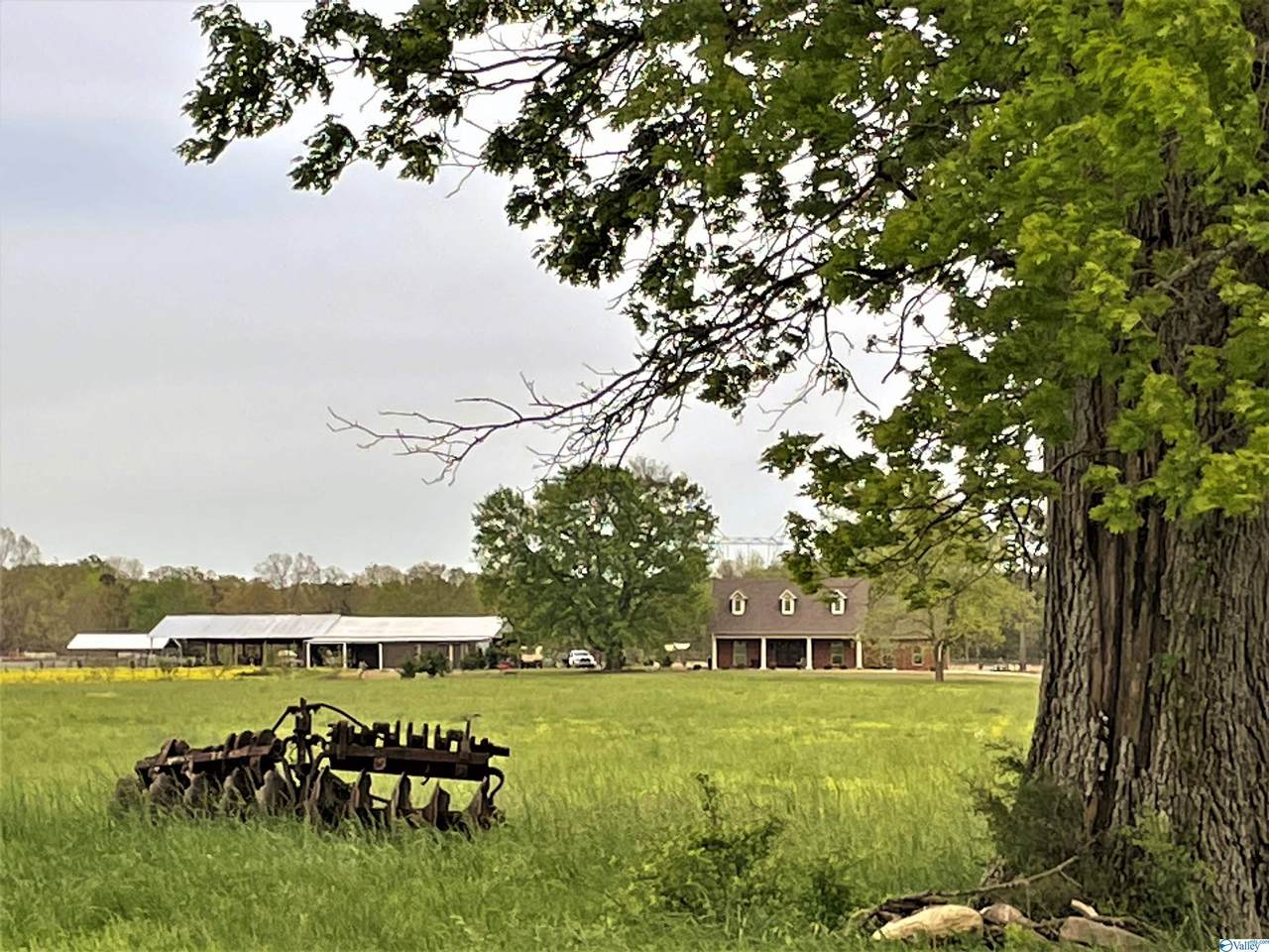 334 County Road 339 - Photo 1