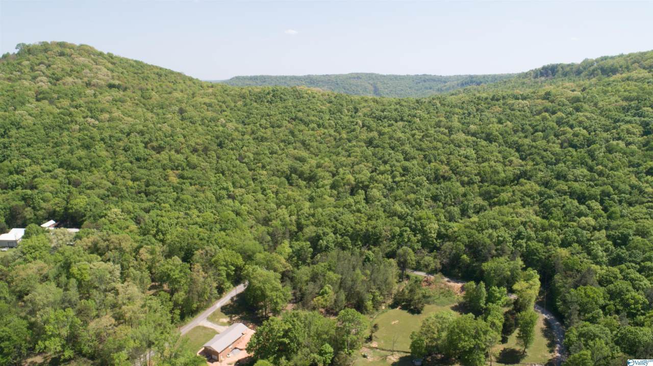 550 Husky Mountain Private Drive - Photo 1