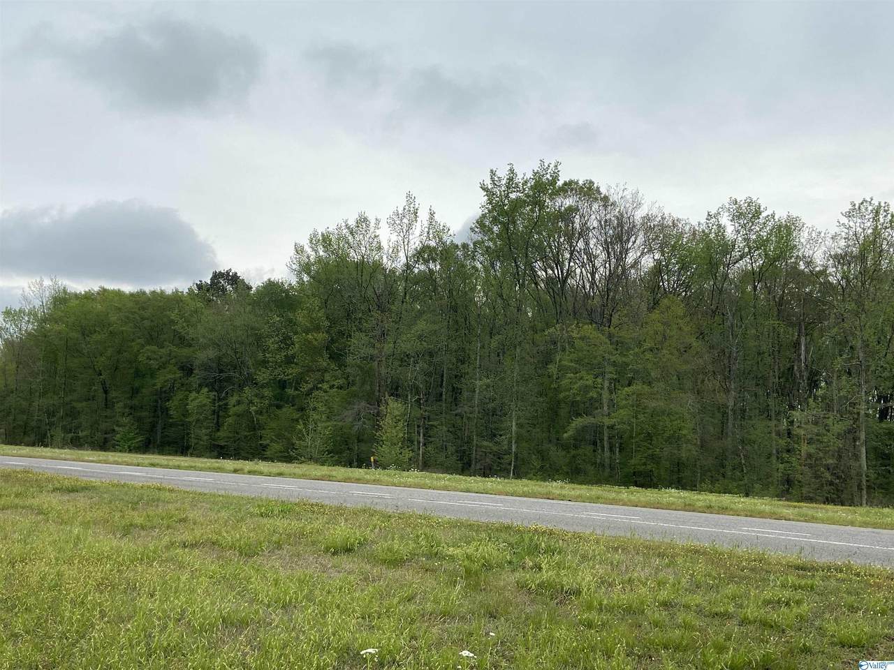Gordon Terry Parkway - Photo 1