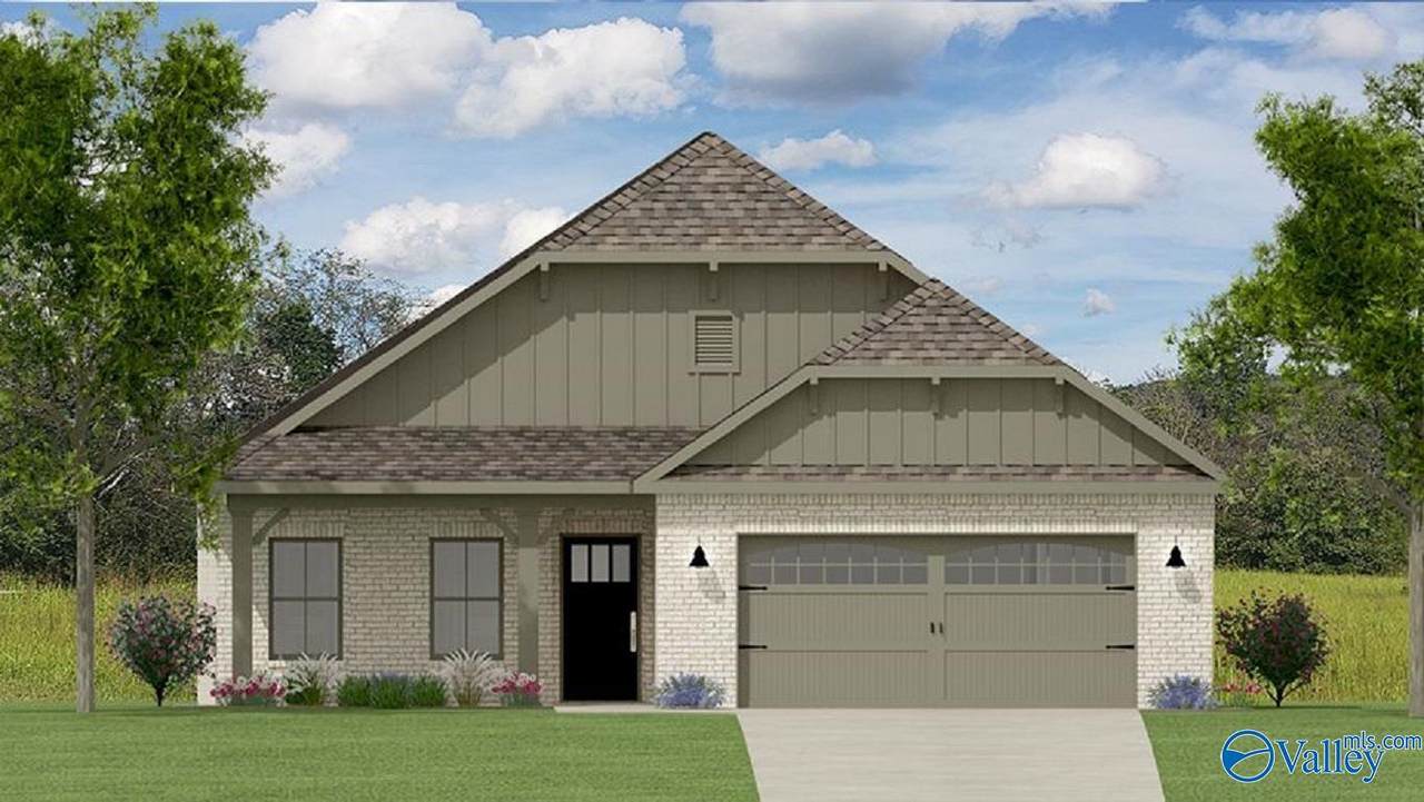 Lot 43 Anise Circle - Photo 1