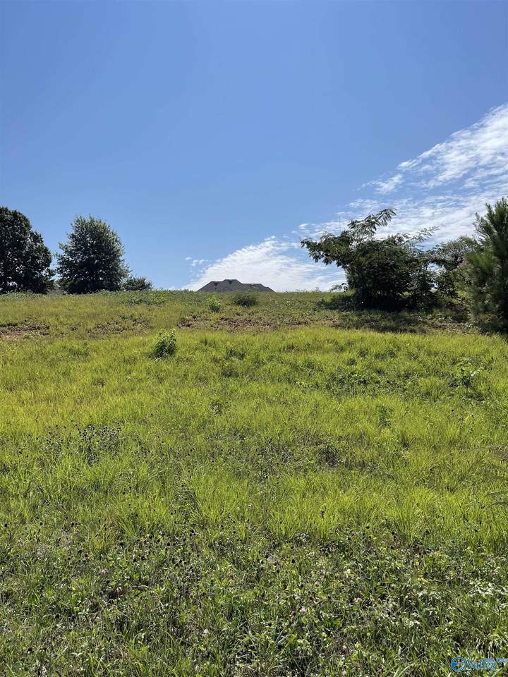 00 Riverway Lane - Photo 1