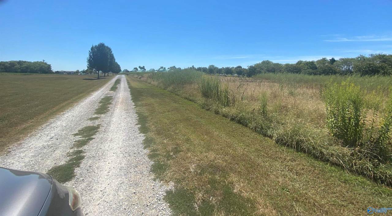00 Snake Road - Photo 1