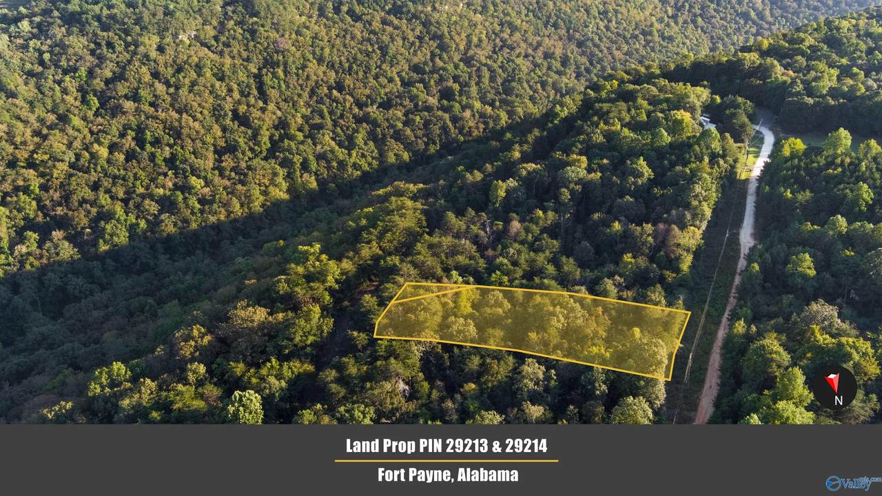 LOT 44 County Road 369 - Photo 1