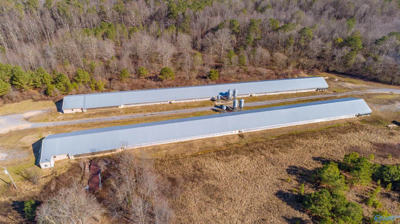 116 Gray Road - Photo 1