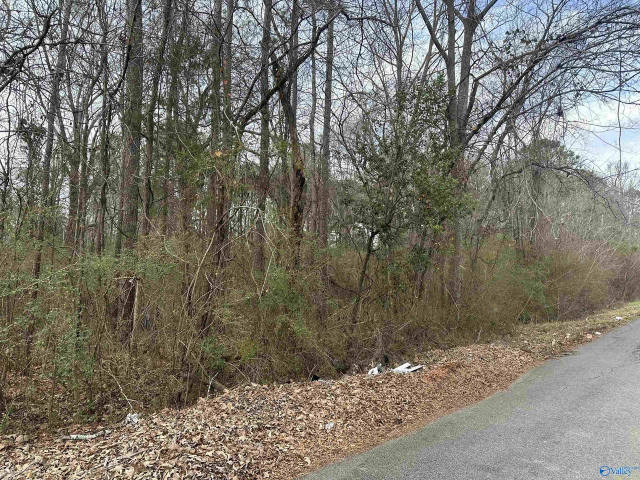 611 Greenwood Avenue - Photo 1