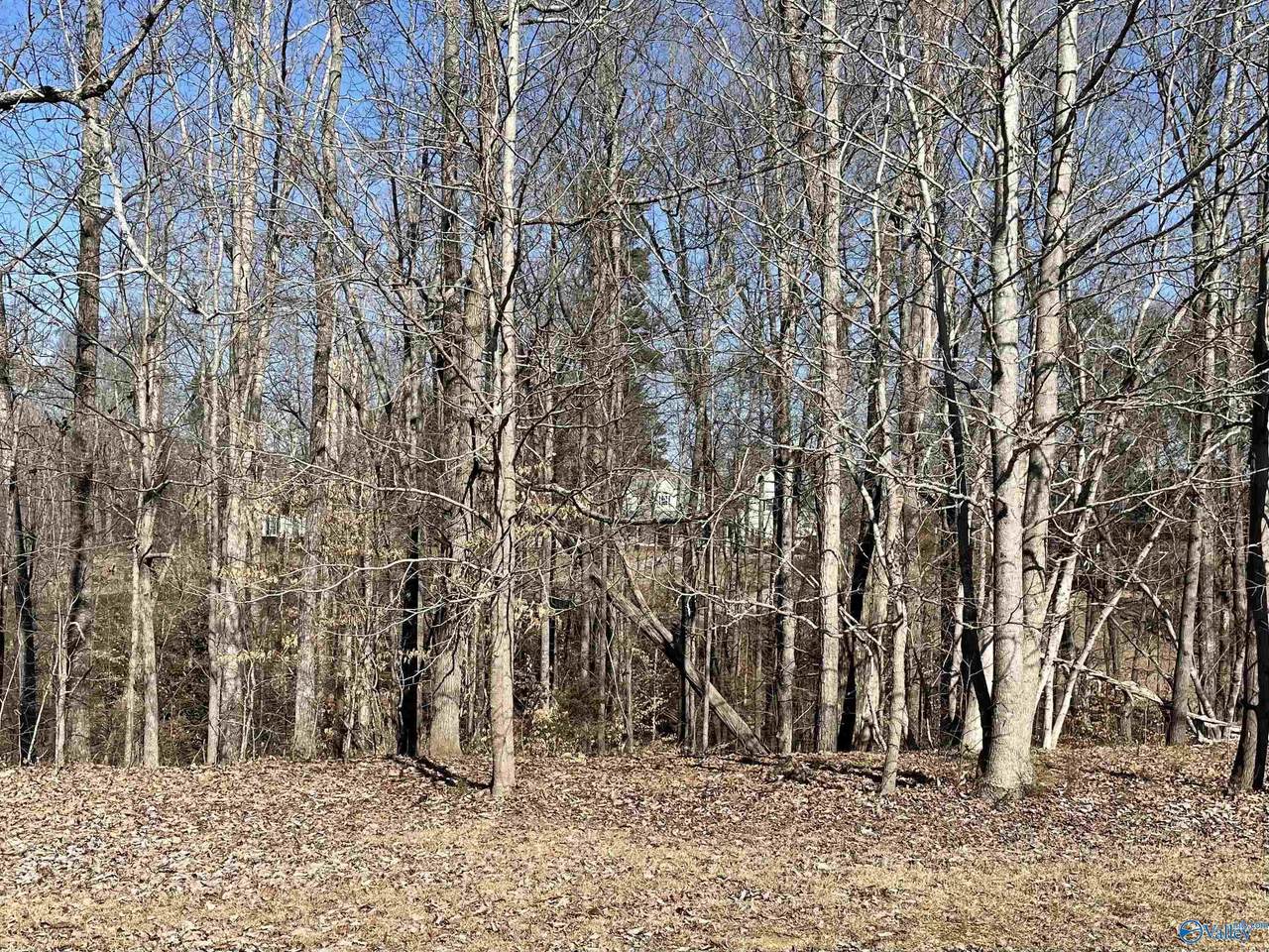 LOT18 Lot 18 Deer Walk - Photo 1