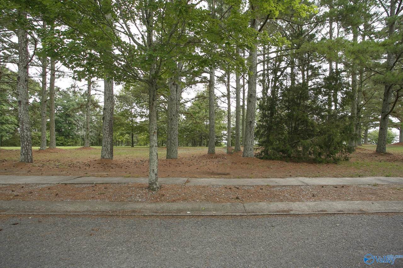 10 Gorham Drive - Photo 1