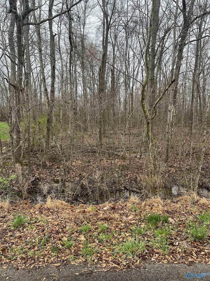 Lot 16 Jessica Drive - Photo 1