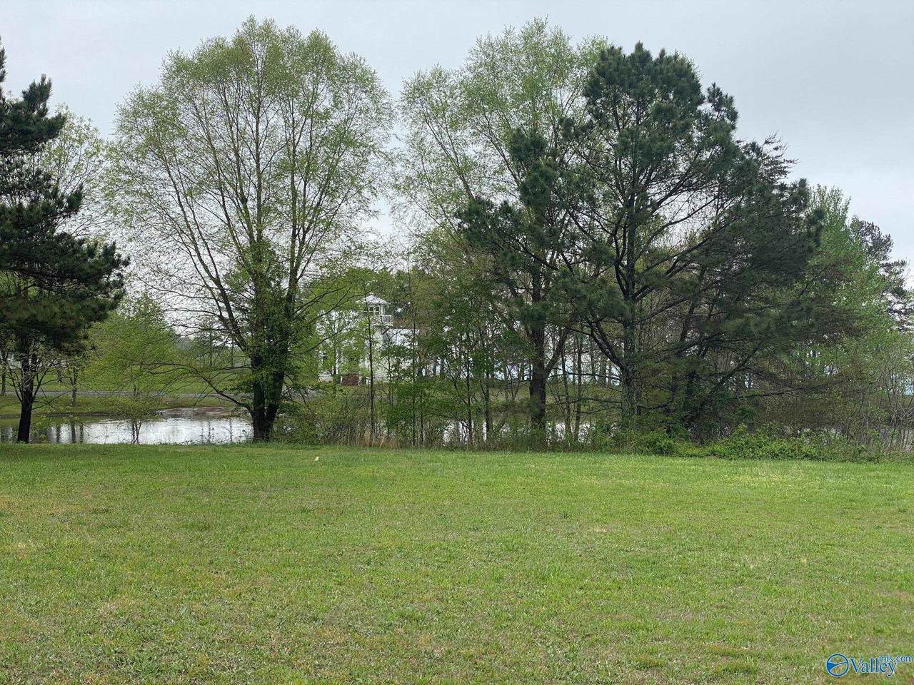 Lot 302 Main Street - Photo 1