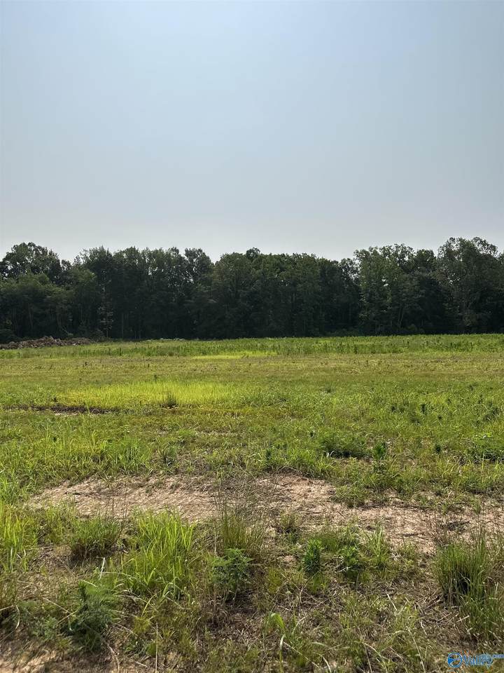 Tract 42 Hays Mill Road - Photo 1