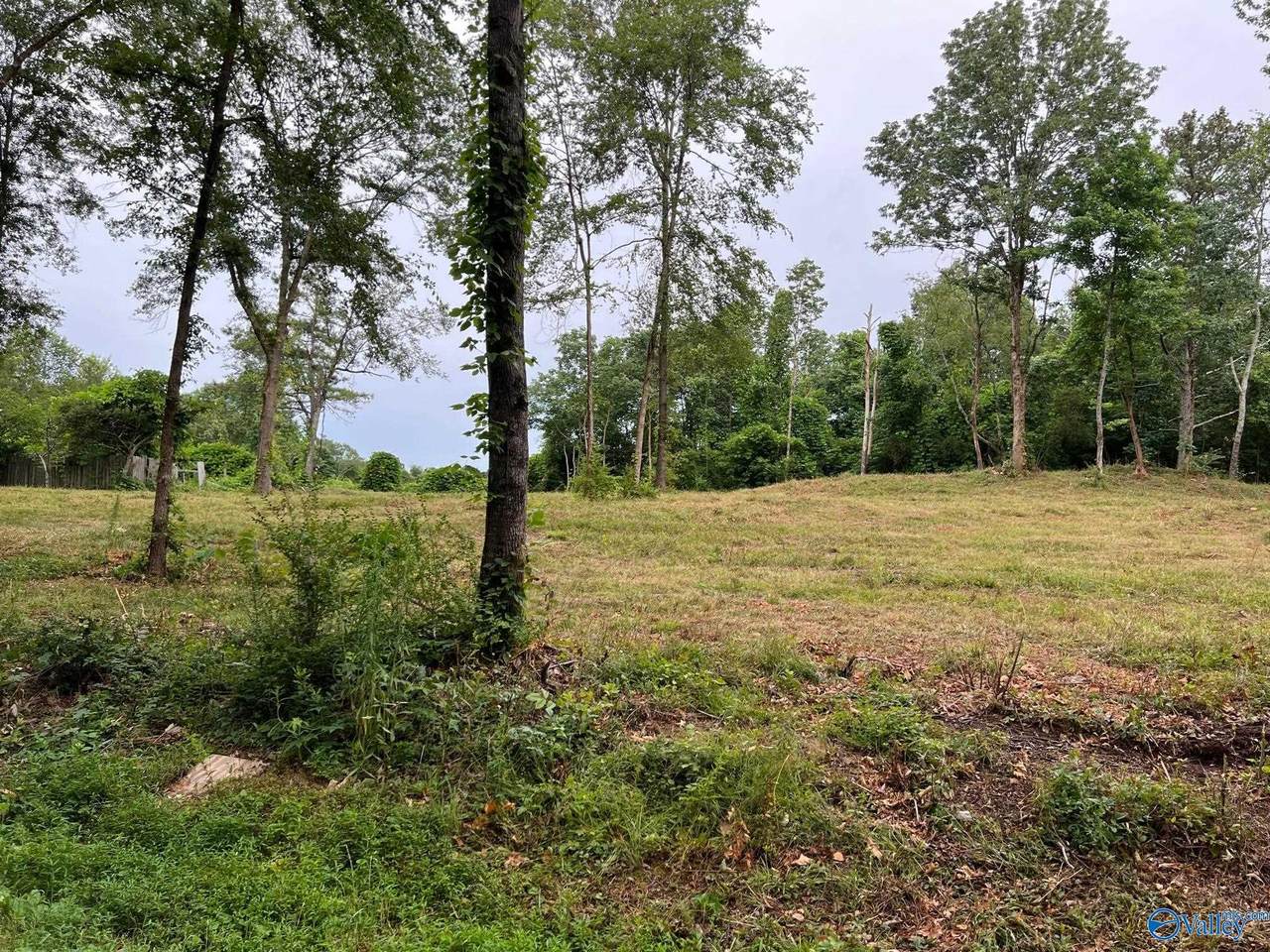 Lot 3 Cherrywood Drive - Photo 1