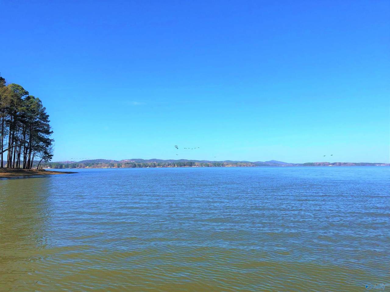 https://bt-photos.global.ssl.fastly.net/nalmls/1280_boomver_1_1838318-2.jpg