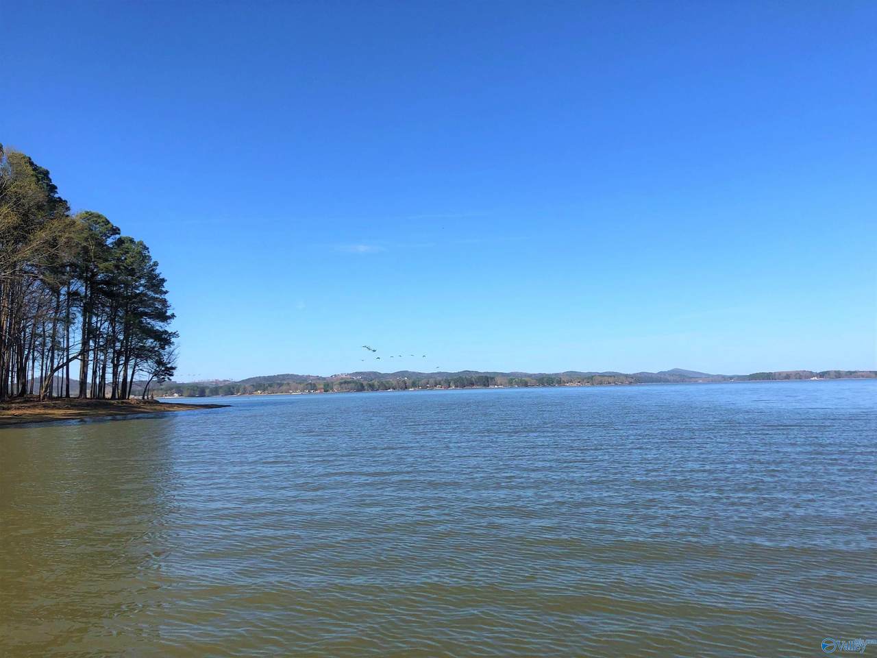 Lot 13 Little River Landing - Photo 1