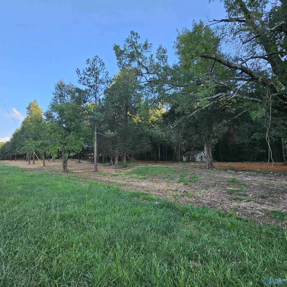 3195 E Upper River Road, Decatur, AL 35603 (MLS 21843248) MarMac