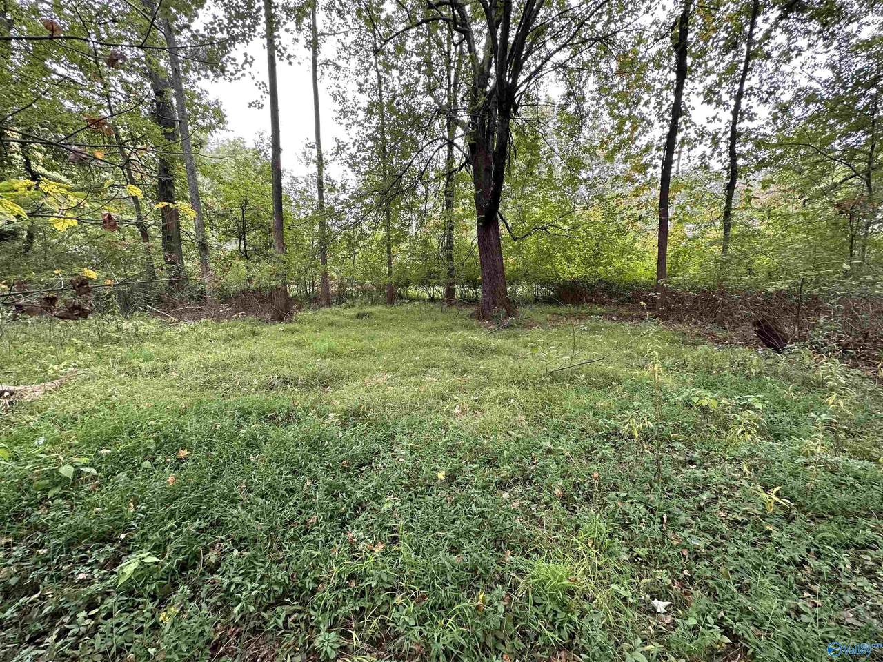 Lot 36 & 37 Monte Sano Blvd - Photo 1