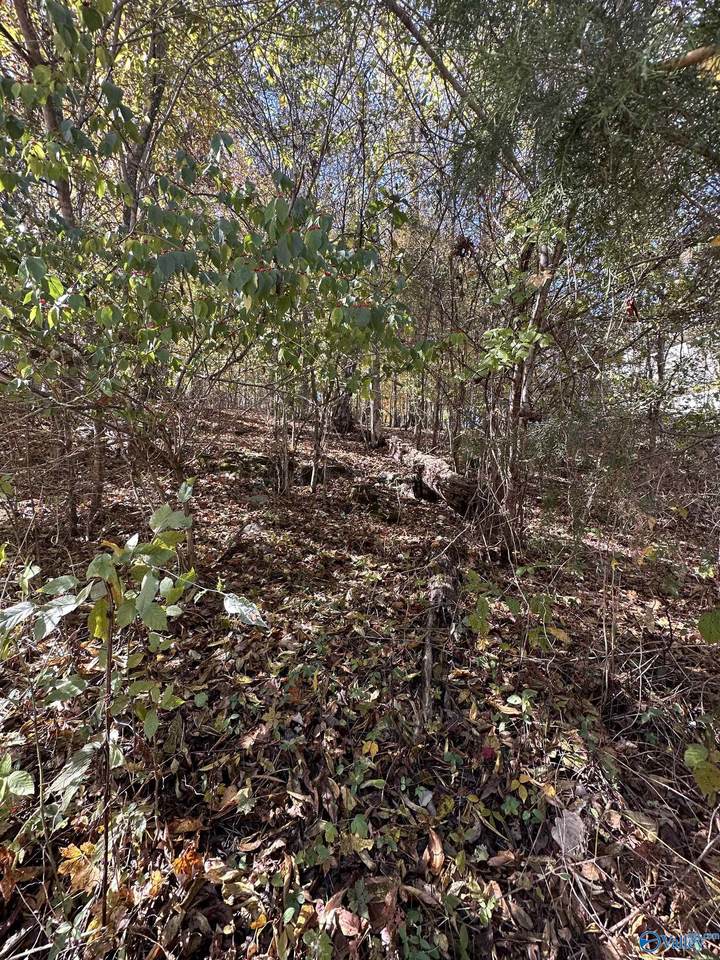 4620 Legacy Preserve Way - Photo 1