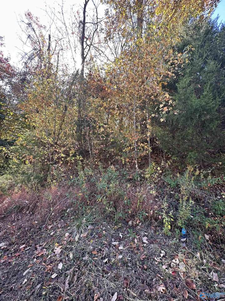 4604 Legacy Preserve Way - Photo 1