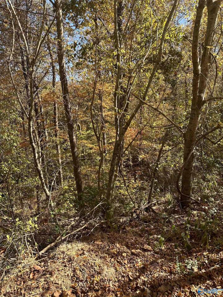 4619 Legacy Preserve Way - Photo 1