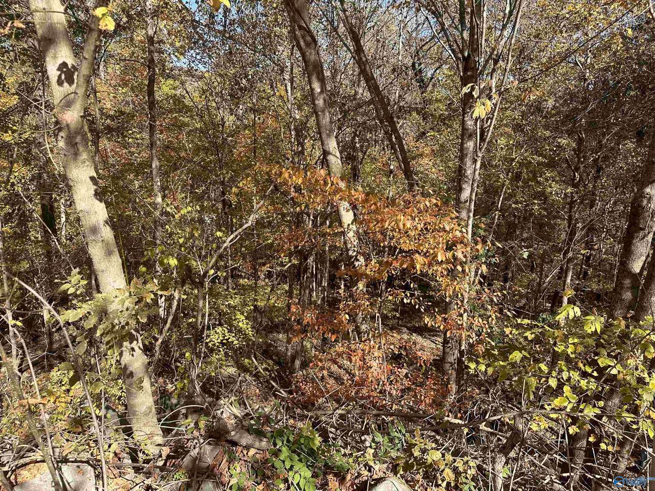 4611 Legacy Preserve Way - Photo 1