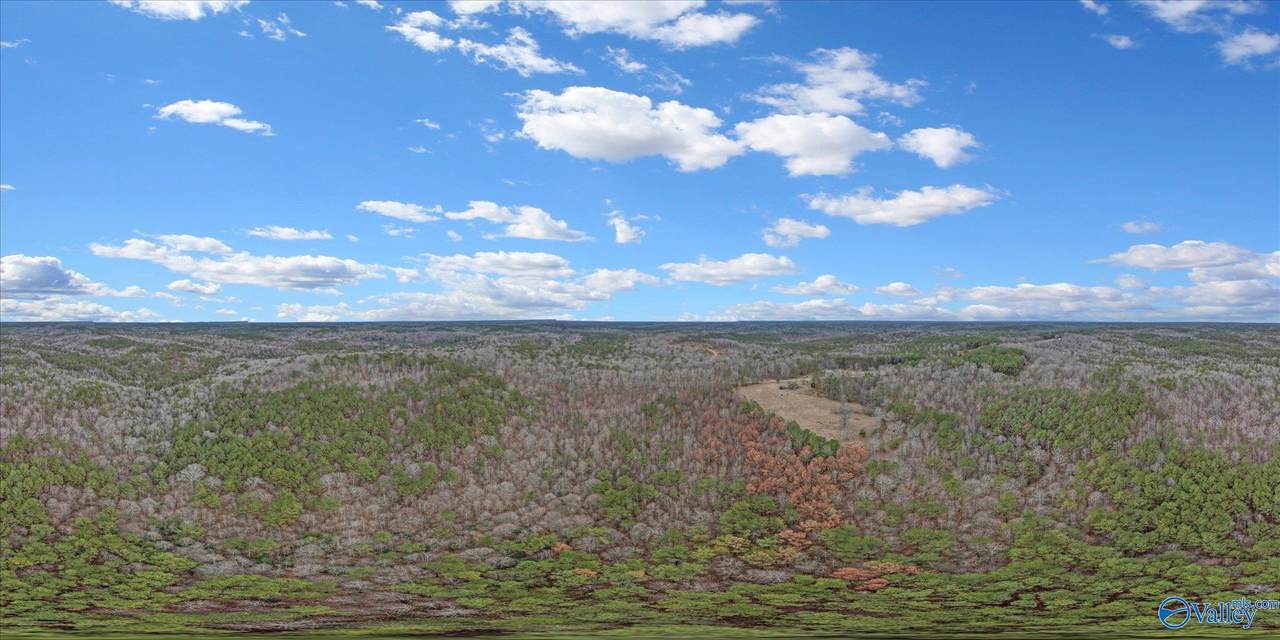 20 Acres County Road 71, Moulton, AL 35650 (MLS 21847652) MarMac