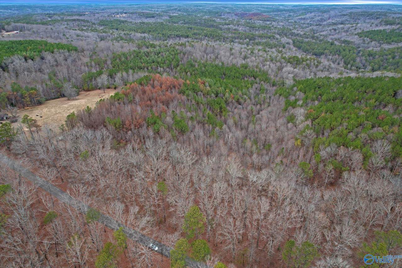 20 Acres County Road 71, Moulton, AL 35650 (MLS 21847652) MarMac