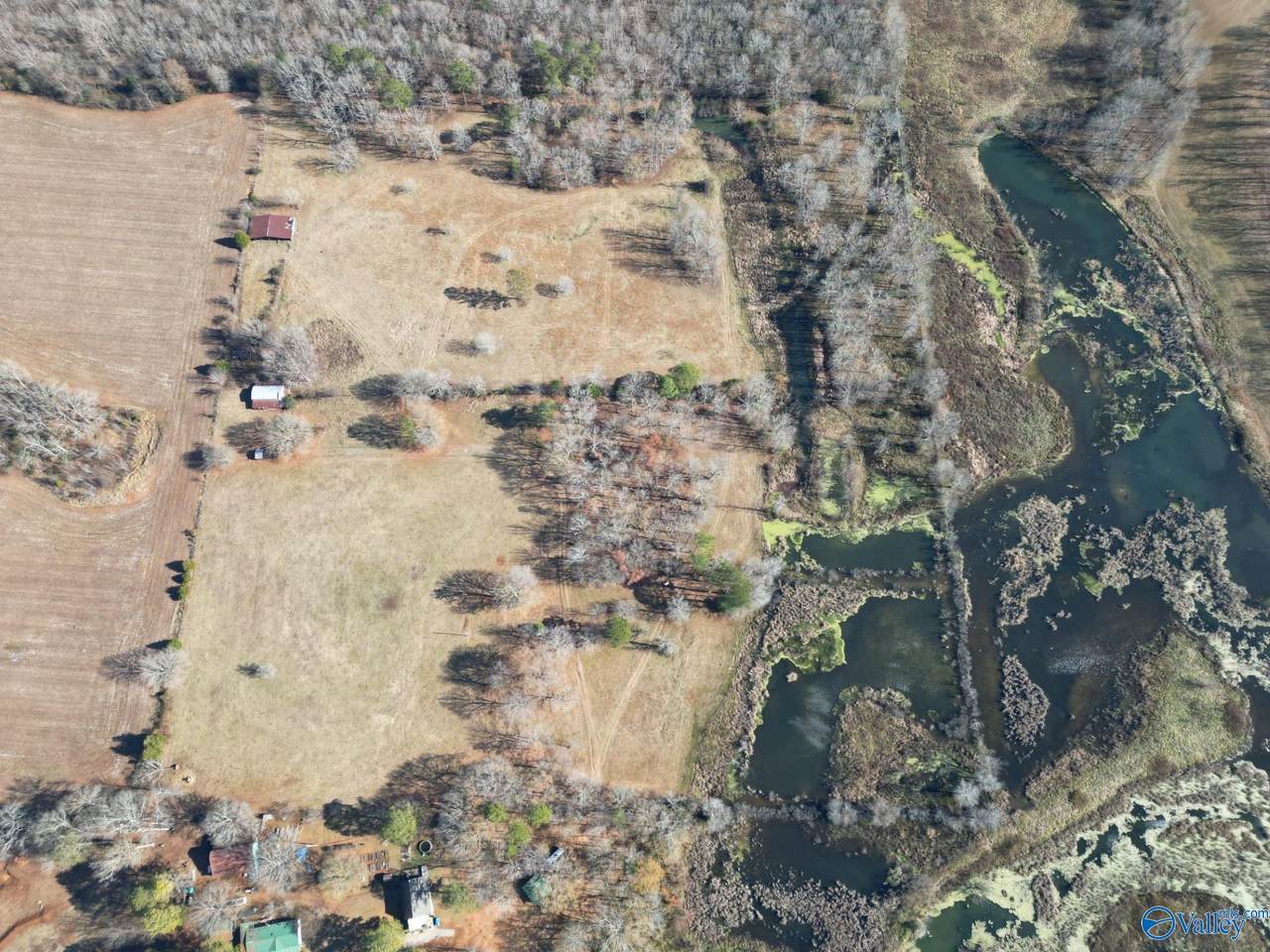 29+/ acres County Road 86, Moulton, AL 35650 (MLS 21849498) MarMac