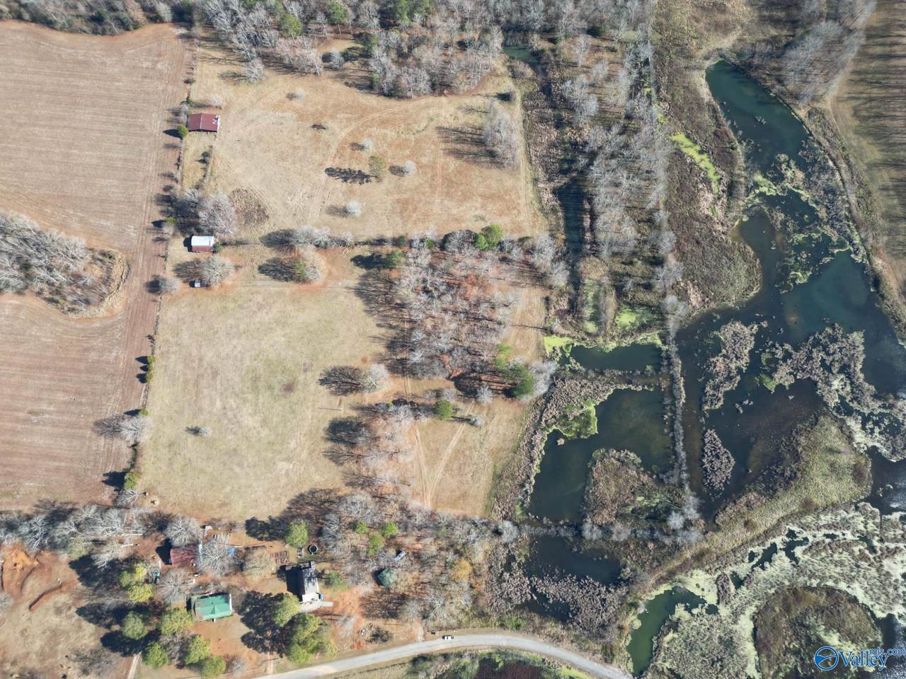 29+/ acres County Road 86, Moulton, AL 35650 (MLS 21849498) MarMac