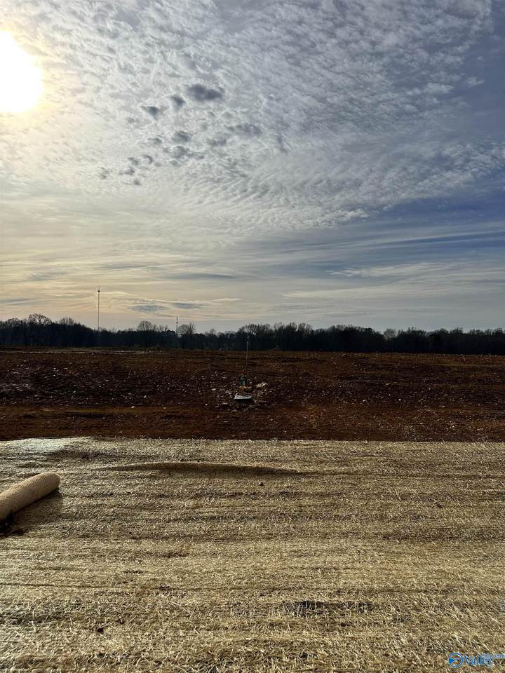 Lot 8 Bear Bryant Drive - Photo 1
