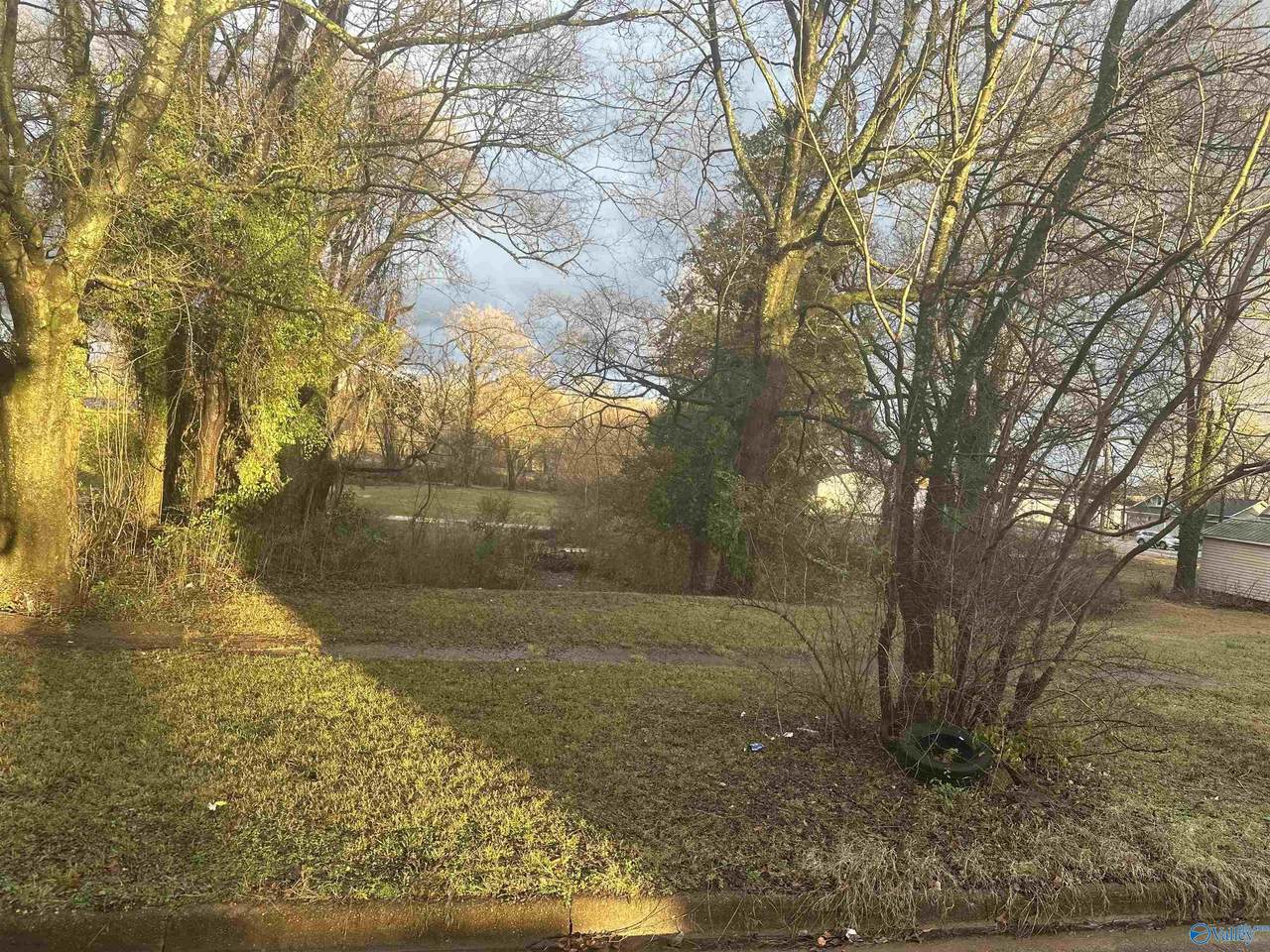 Lot 13 4th Avenue - Photo 1