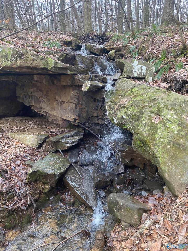 123456 County Road 121 - Photo 1