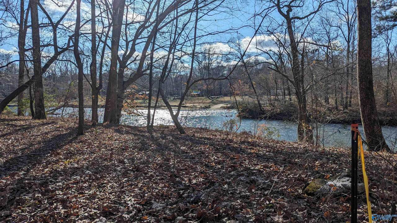 Lot 12 County Road 137 - Photo 1