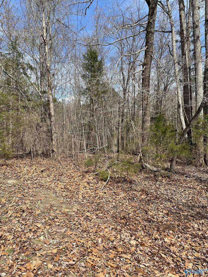 Lot 14 Spindletop Drive - Photo 1