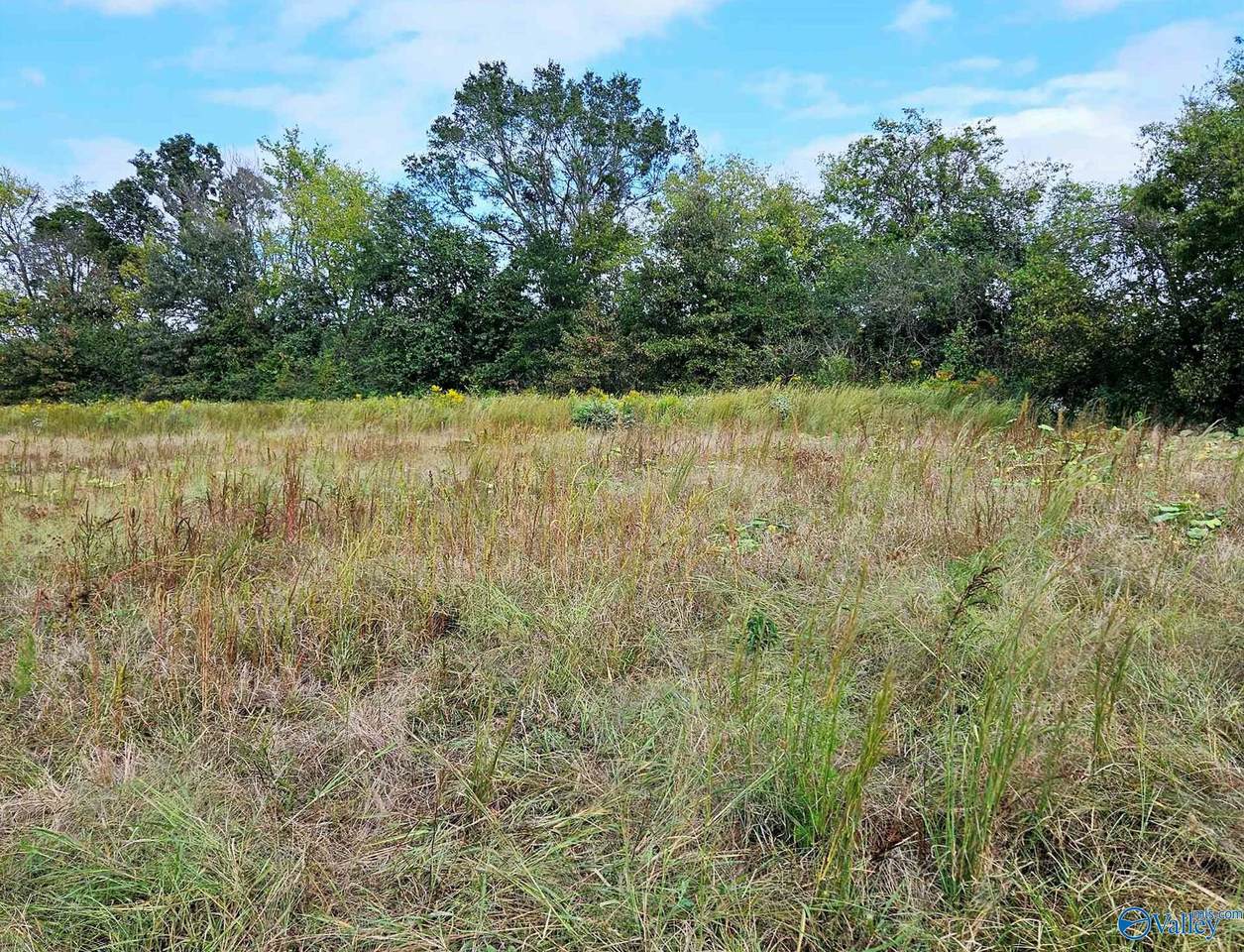 2658 Gordon Terry Parkway - Photo 1