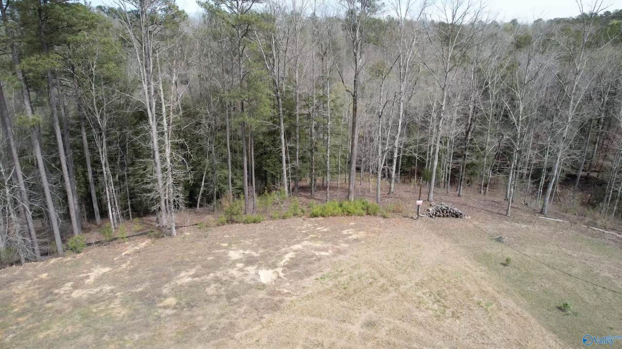 101 & 102 Sipsey Overlook Road - Photo 1