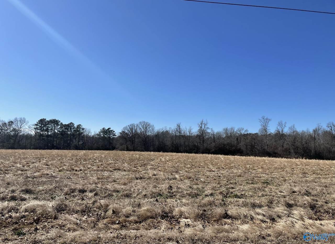 TRACT 15 Edgewood Road - Photo 1