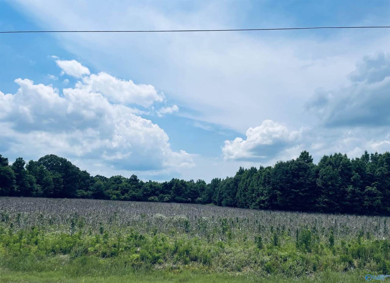 TRACT 5 Seven Mile Post Road - Photo 1