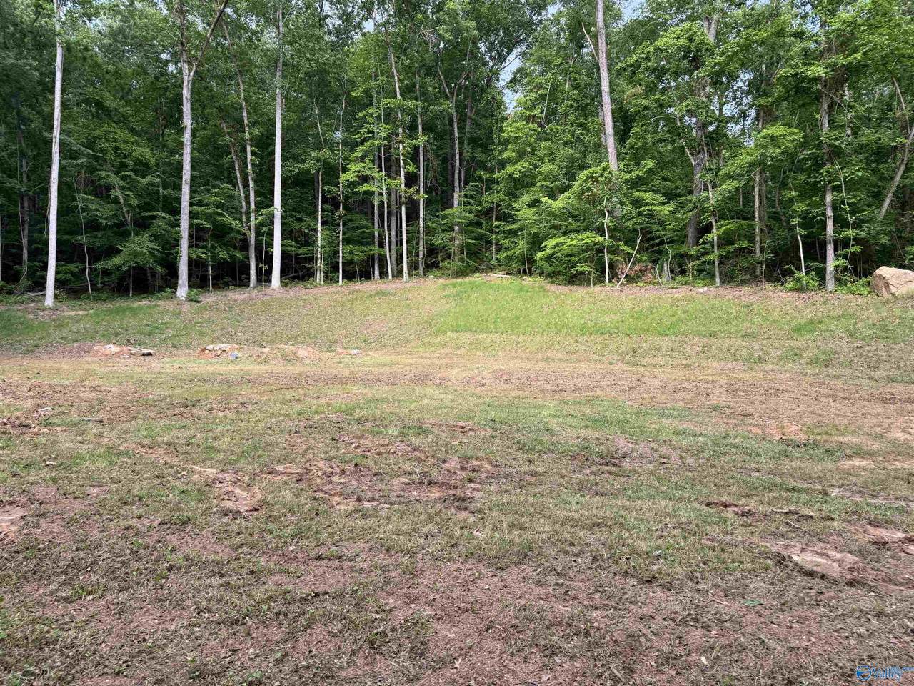 LOTS 82 AND 83 Wyeth Drive - Photo 1