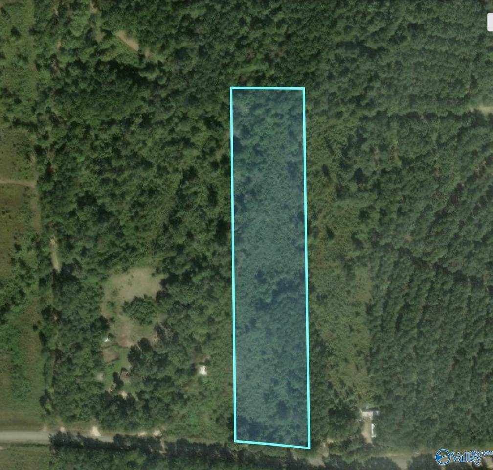 38 County Road 14 - Photo 1
